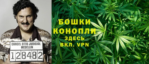 ПСИЛОЦИБИНОВЫЕ ГРИБЫ Аркадак