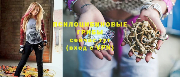 ПСИЛОЦИБИНОВЫЕ ГРИБЫ Аркадак