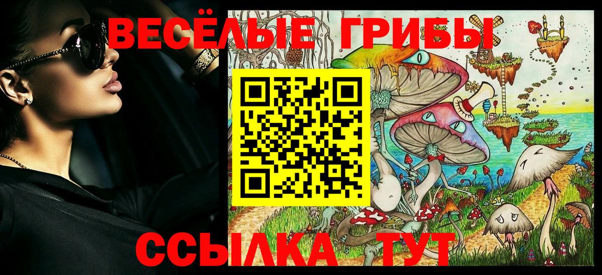 Галлюциногенные грибы GOLDEN TEACHER Невинномысск