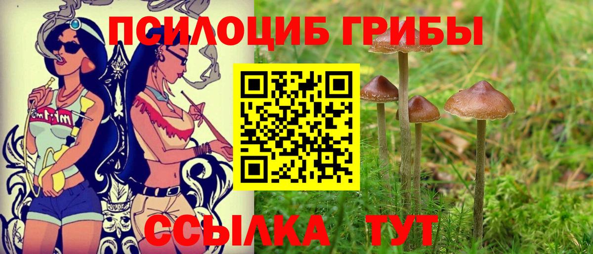 Галлюциногенные грибы мухоморы  Вход с VPN  Невинномысск 